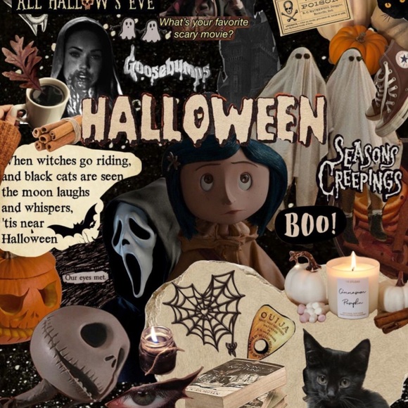 Meet your Posher, Zoe - Picture 1 of 1